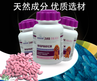 泰迪吃蝦紅素好嗎？蝦紅素的功效與作用