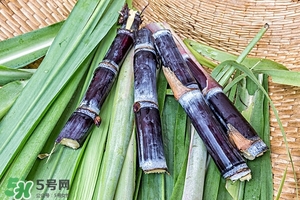 甘蔗皮有什么藥用功效？甘蔗皮的功效與作用