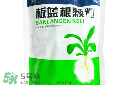 板藍根能天天喝嗎？板藍根可以經(jīng)常喝嗎？
