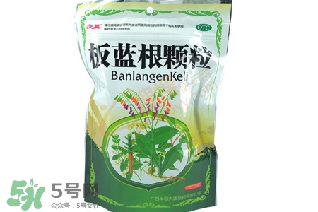 板藍根喝多了會怎樣？板藍根喝多了會有副作用嗎？