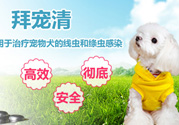 拜寵清要怎么喂？拜寵清驅(qū)蟲藥說明書