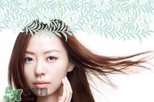 泊美是什么檔次？泊美屬于幾線品牌？