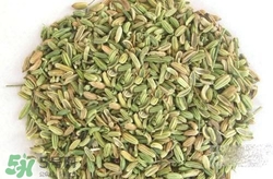 小茴香來月經(jīng)可以吃嗎？來月經(jīng)可以吃小茴香嗎？