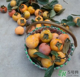 柿子長白點還能吃嗎？柿子上有白點能吃嗎？