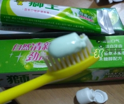 lion獅王是什么牌子？獅王是哪個國家的什么檔次？