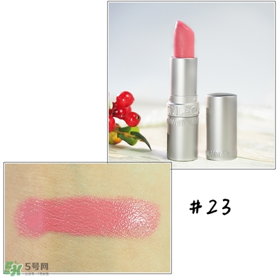 t.leclerc蕾克蕾口紅怎么樣？蕾克蕾唇膏試色色號圖
