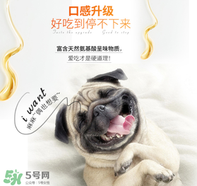 狗狗營(yíng)養(yǎng)膏什么牌子好？狗狗營(yíng)養(yǎng)膏多少錢？