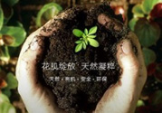 花肌粹護(hù)膚品怎么樣？花肌粹護(hù)膚品含激素嗎？