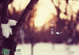 冬至要上墳嗎？冬至為什么要上墳？