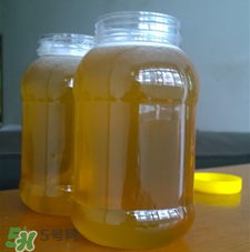 冬蜜好還是春蜜好？冬蜜和春蜜的區(qū)別