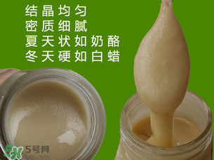 冬蜜是什么蜜？冬蜜的功效與作用