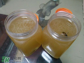 冬蜜多少錢(qián)一斤？冬蜜如何辨別真假？