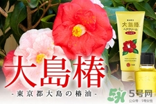 大島椿護發(fā)精油能涂臉嗎？大島椿發(fā)油的身體護理用法