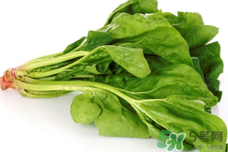 吃菠菜能喝牛奶嗎？菠菜和牛奶能一起吃嗎？