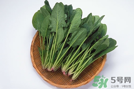 吃菠菜能喝牛奶嗎？菠菜和牛奶能一起吃嗎？