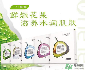 一葉子是哪個國家的？一葉子面膜是哪個國家的？