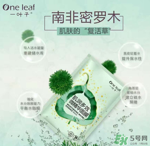 一葉子是哪個國家的？一葉子面膜是哪個國家的？