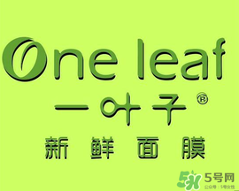 一葉子面膜會(huì)過敏嗎？一葉子面膜會(huì)不會(huì)過敏？