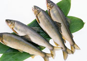 咽喉炎可以吃魚(yú)嗎？咽喉炎吃魚(yú)有什么好處？