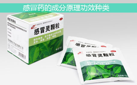 阿莫西林可以空腹吃嗎 阿莫西林可以治感冒嗎