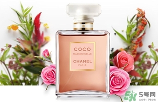 香奈兒黑coco香水和白coco香水哪個(gè)好？香奈兒黑可可和白可可選擇