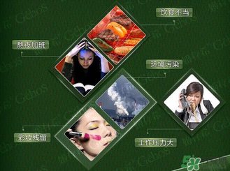 姬存希黃瓜膠多少錢？姬存希黃瓜膠價格