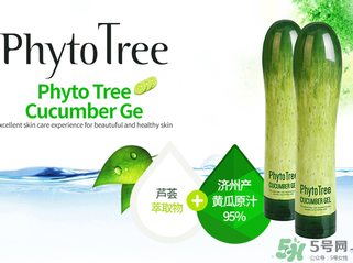 姬存希黃瓜膠多少錢？姬存希黃瓜膠價格