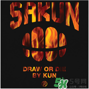 sakun是大品牌嗎？sakun是什么牌子