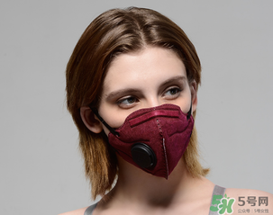 pm2.5口罩多少錢？pm2.5口罩價(jià)格