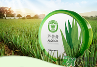 雅麗潔蘆薈膠多少錢？雅麗潔蘆薈膠好不好？