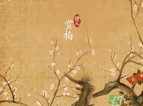 臘八節(jié)出生的女寶寶怎么取名？臘八節(jié)出生的男寶寶怎么取名？