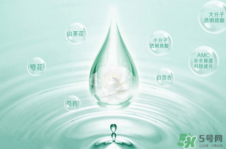 一葉子水光霜怎么用？一葉子水光霜使用方法