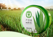 雅麗潔蘆薈膠多少錢？雅麗潔蘆薈膠好不好？