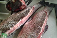 新鮮魚怎么腌制咸魚塊？咸魚塊怎么腌制