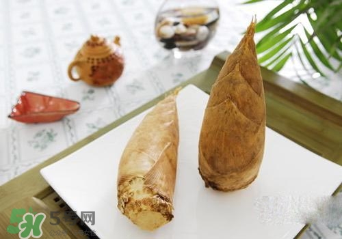 冬筍可以放冰箱嗎？冬筍放冰箱保存方法
