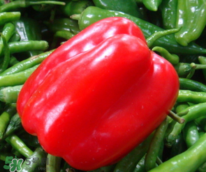 辣椒變紅能吃嗎？辣椒為什么會變紅？
