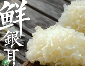 新鮮銀耳有毒嗎？新鮮銀耳怎么去毒？