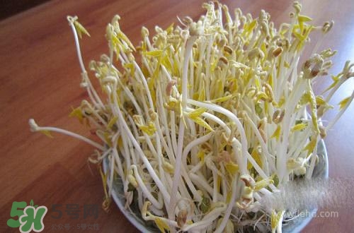 豆芽糖尿病可以吃嗎？糖尿病吃豆芽有什么好處？