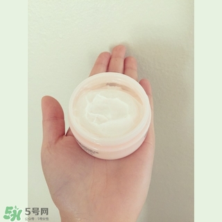the body shop維e晚霜怎么用？美體小鋪維e晚霜使用方法