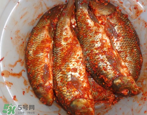 腌魚有亞硝酸鹽嗎？腌魚多久產(chǎn)生亞硝酸鹽？