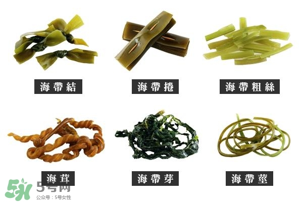 海帶上的白霜是什么？海帶上面有白色的東西那是什么