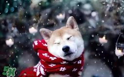 2017年冷空氣什么時(shí)候？2017年冷空氣最新消息