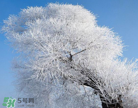 2017年第一場雪什么時候？2017年什么時候下雪？
