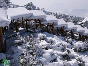 2017年第一場雪什么時候？2017年什么時候下雪？