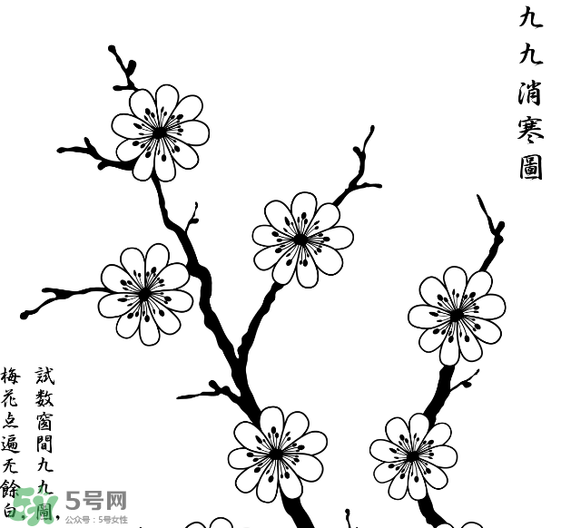 數(shù)九天什么時候最冷？數(shù)九天幾九最冷？
