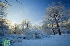 2017年過年天氣怎么樣？2017過年會下雨嗎？