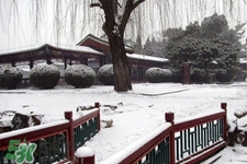 2017年過年會(huì)下雪嗎？2017年過年天氣情況