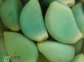 臘八醋里的蒜能吃嗎？臘八醋里的蒜好吃嗎？