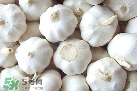 2017過年大蒜會(huì)漲價(jià)嗎？2017年春節(jié)大蒜價(jià)格預(yù)測
