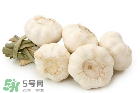 2017過年大蒜會(huì)漲價(jià)嗎？2017年春節(jié)大蒜價(jià)格預(yù)測